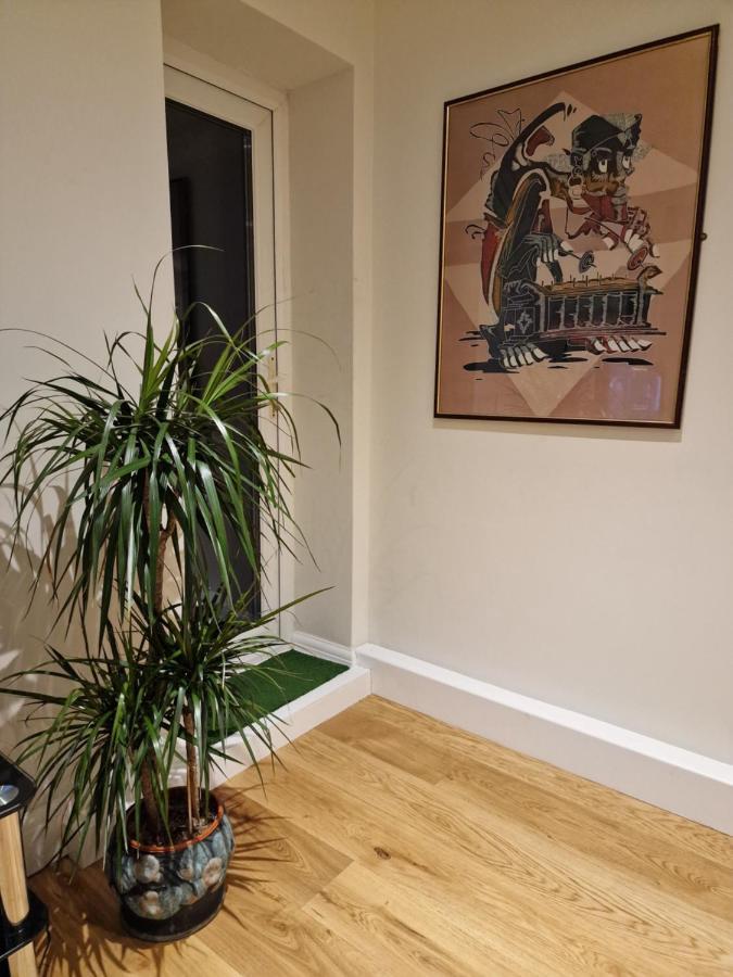 Muswell Hill Apartment Free Parking Londyn Zewnętrze zdjęcie